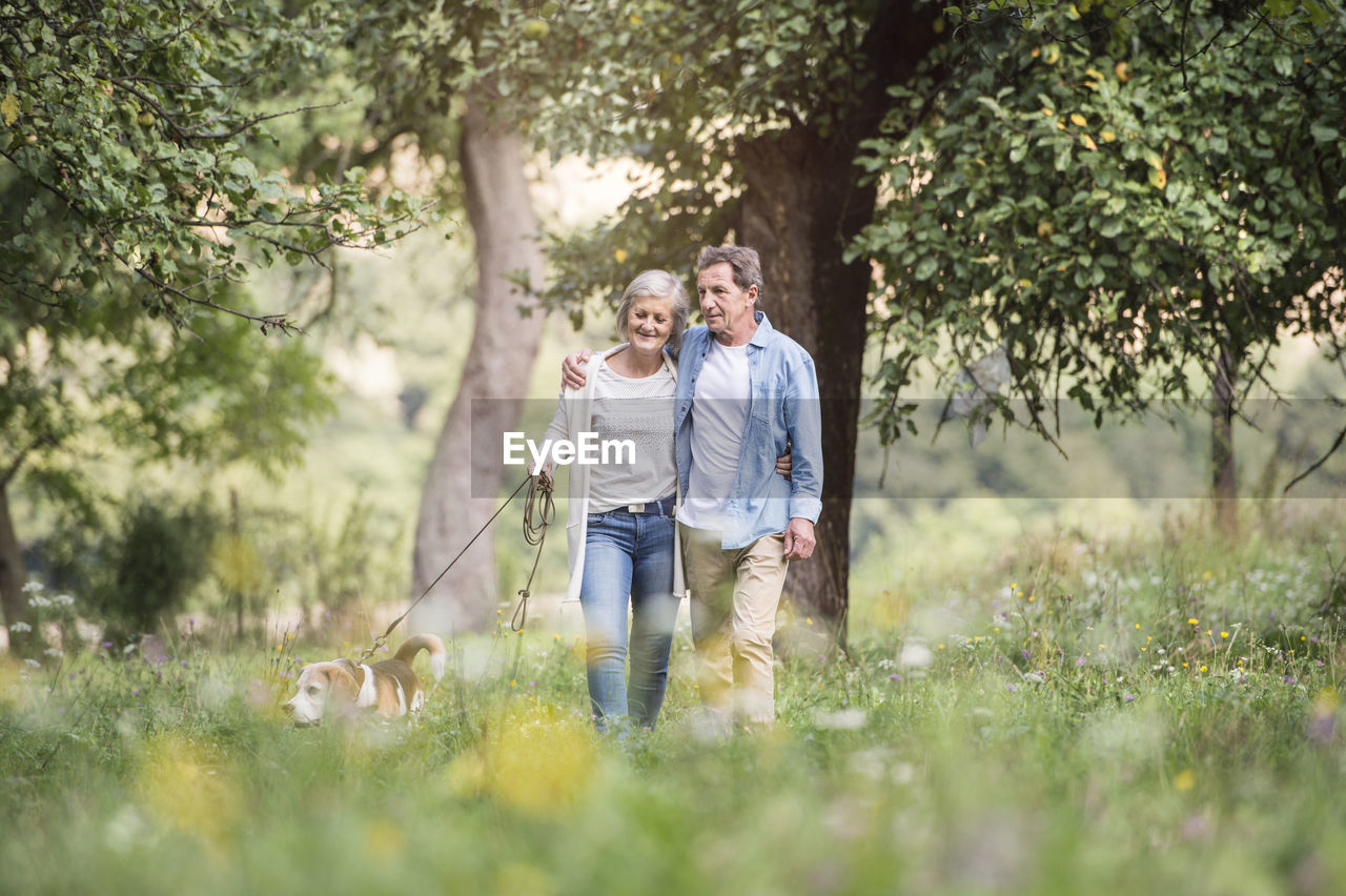 Senior couple on a walk with dog in nature