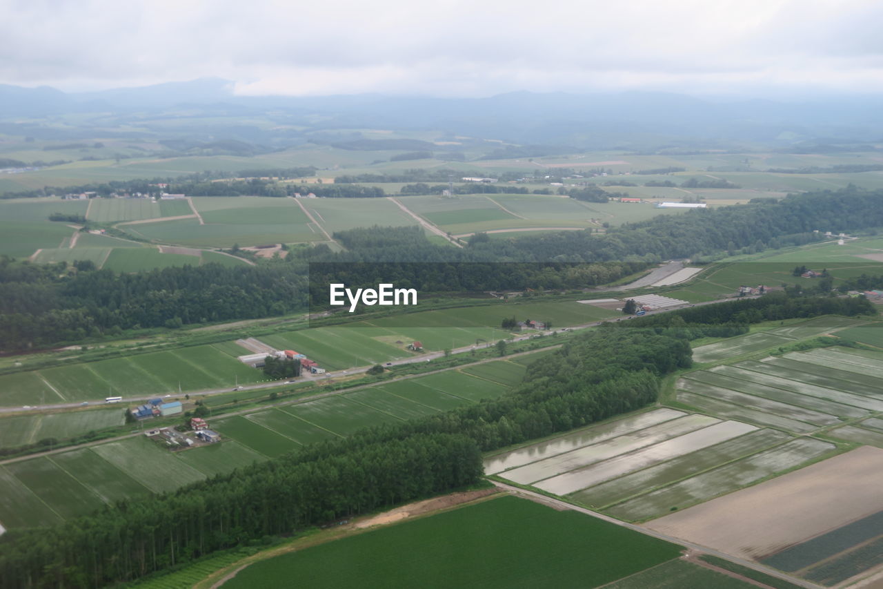 AERIAL VIEW OF AGRICULTURAL FIELD