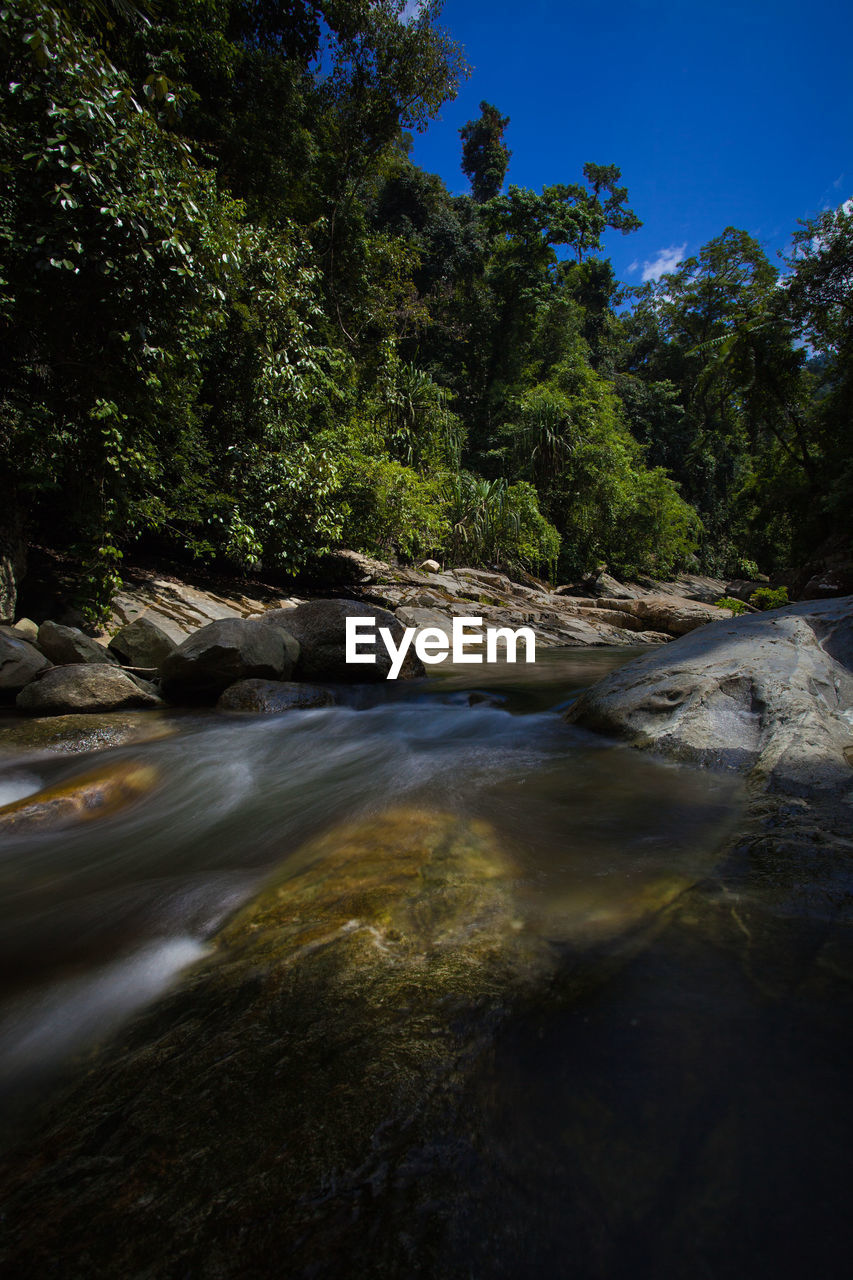 VIEW OF STREAM FLOWING THROUGH ROCKS IN FOREST