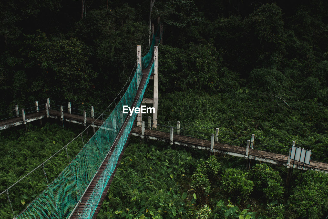 FOOTBRIDGE AMIDST TREES AND FOREST