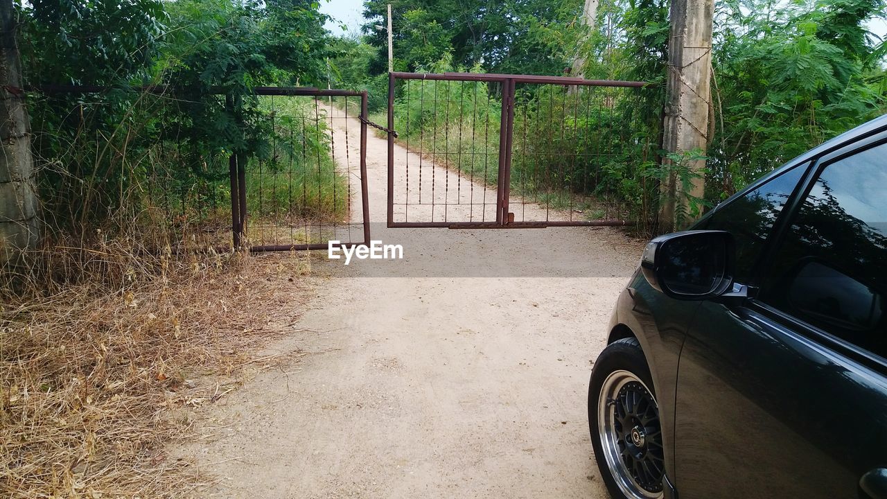 CAR PARKED BY TREE