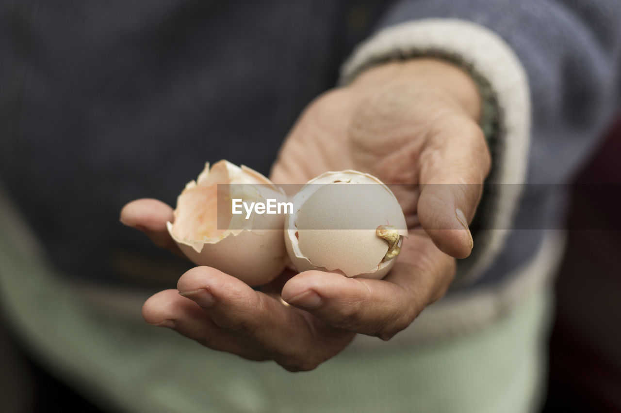 Close up of villager holds hatched egg shell