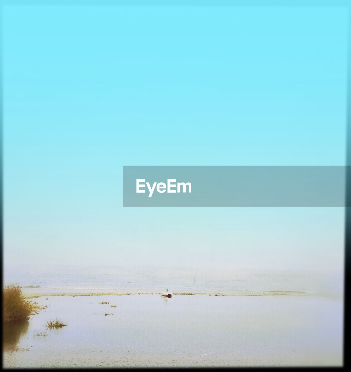 BIRDS ON BEACH AGAINST CLEAR BLUE SKY