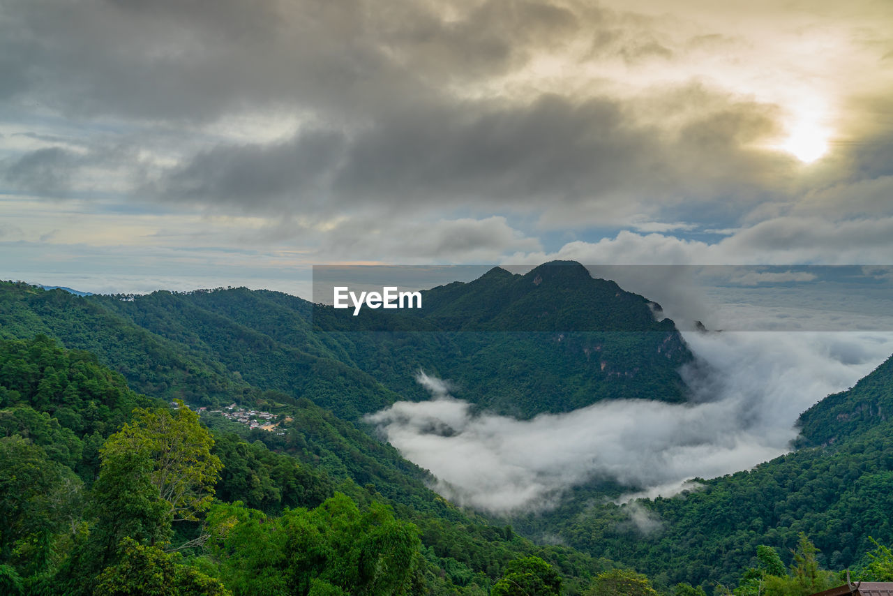 Scenic view of forest covering mountains against sky
