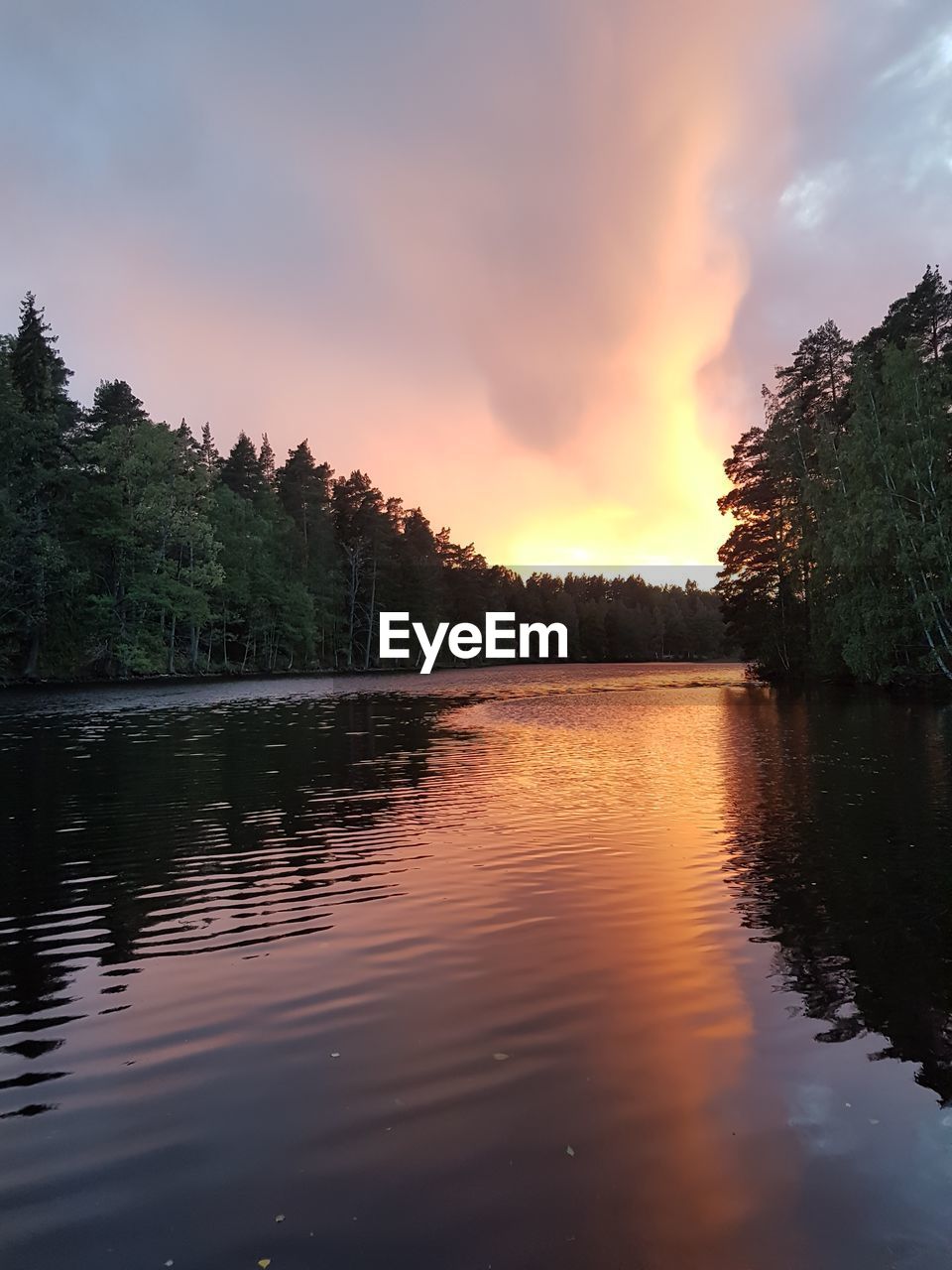 SCENIC VIEW OF LAKE IN FOREST AGAINST SKY AT SUNSET