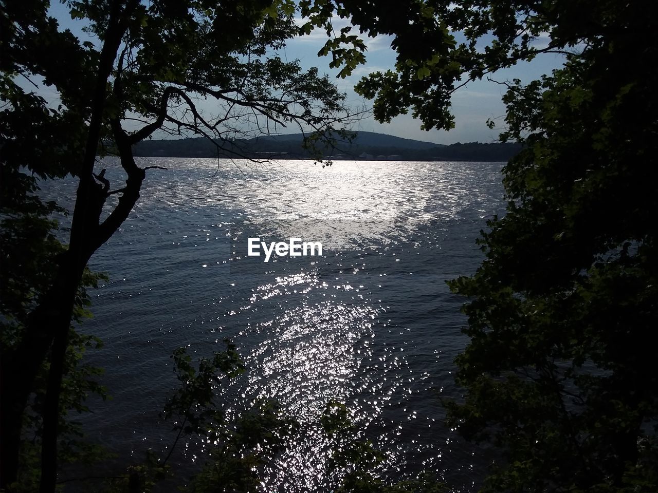 HIGH ANGLE VIEW OF TREES AND SEA AGAINST SKY