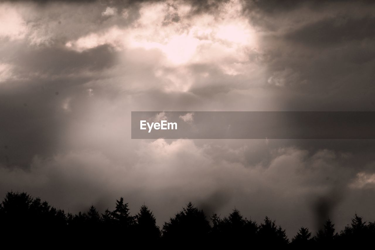 LOW ANGLE VIEW OF SILHOUETTE TREES AGAINST SKY