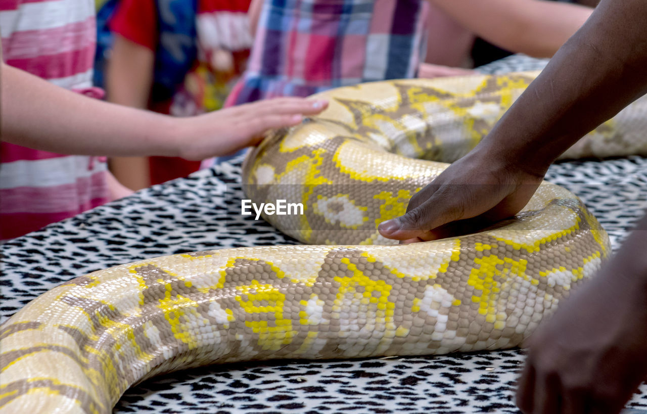 adult, midsection, hand, women, human leg, yellow, pattern, focus on foreground, two people, clothing, close-up, men, indoors, day, arm, holding, limb