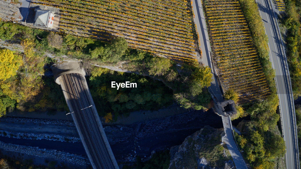 High angle view of bridge amidst trees in city