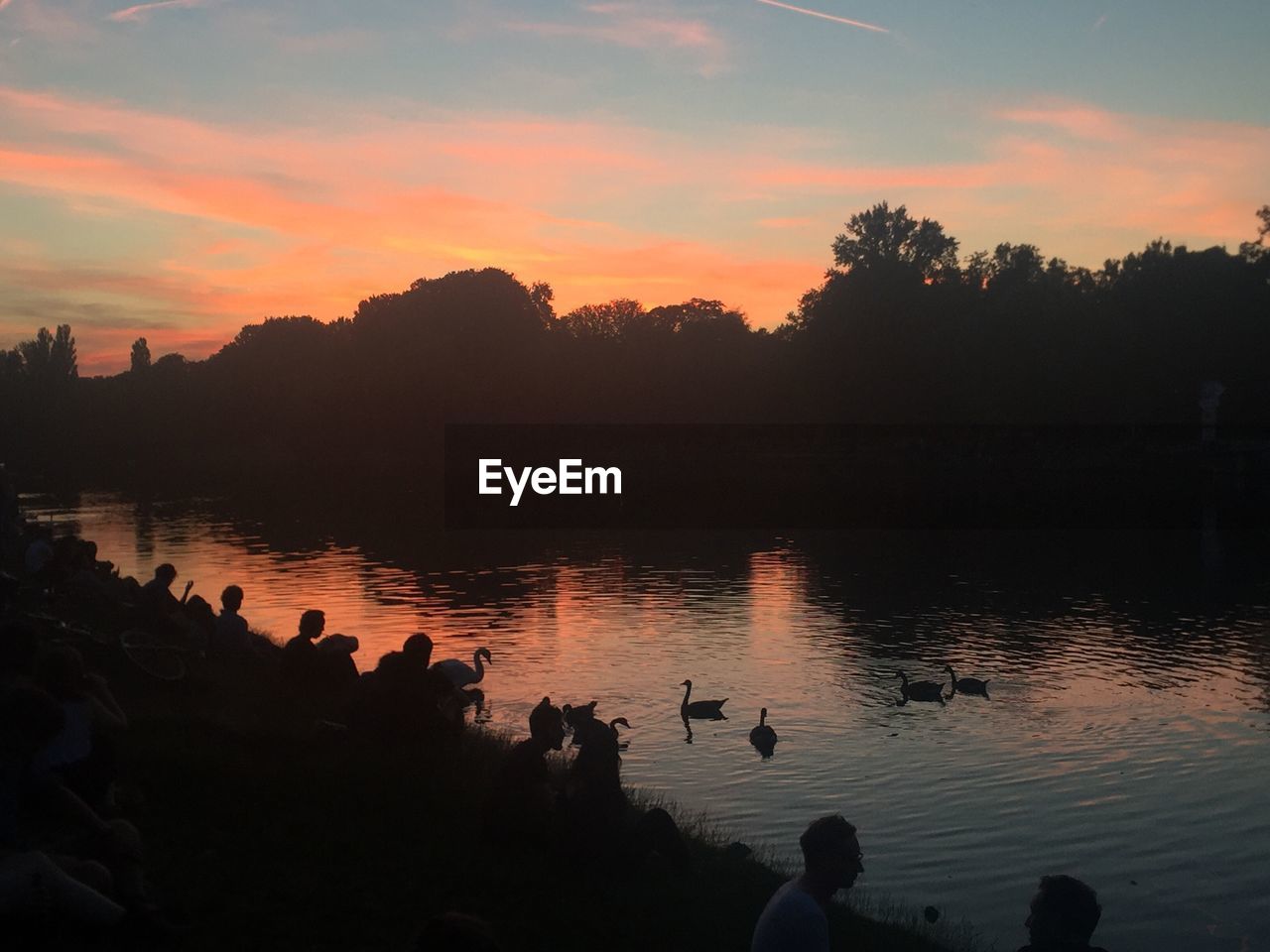 High angle view of people sitting by silhouette birds swimming on lake