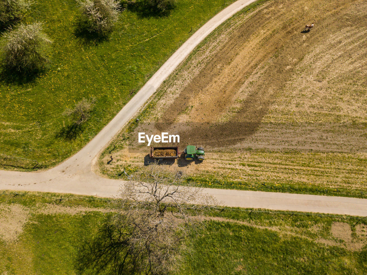 Road passing through field