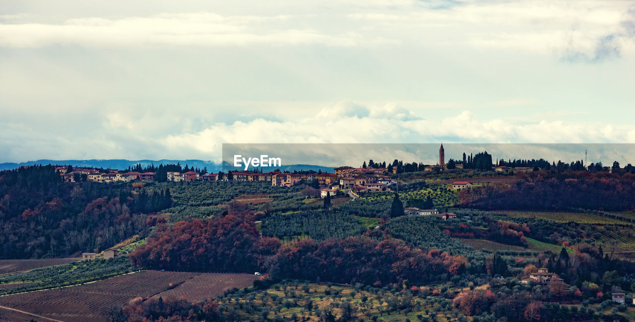 Tuscany hills rural countryside landscape, cypress passages and vineyards. wheat, olives cultivation