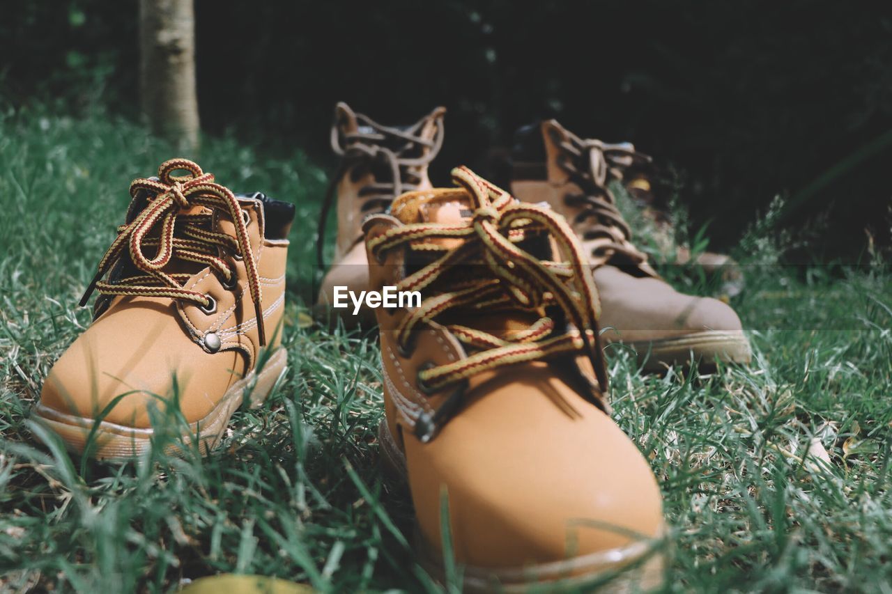 Hiking boots on grassy field at forest