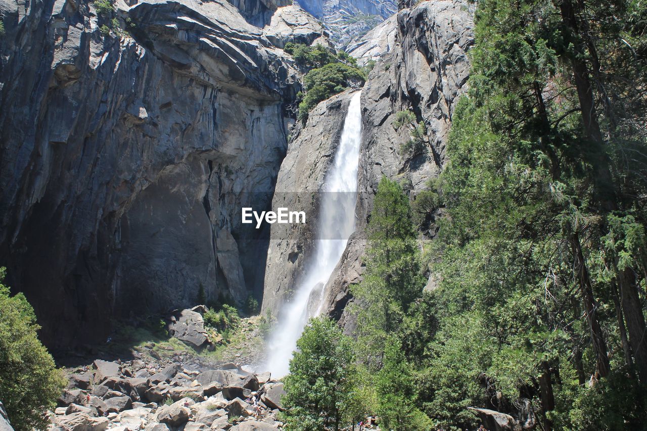 Scenic view of waterfall in forest