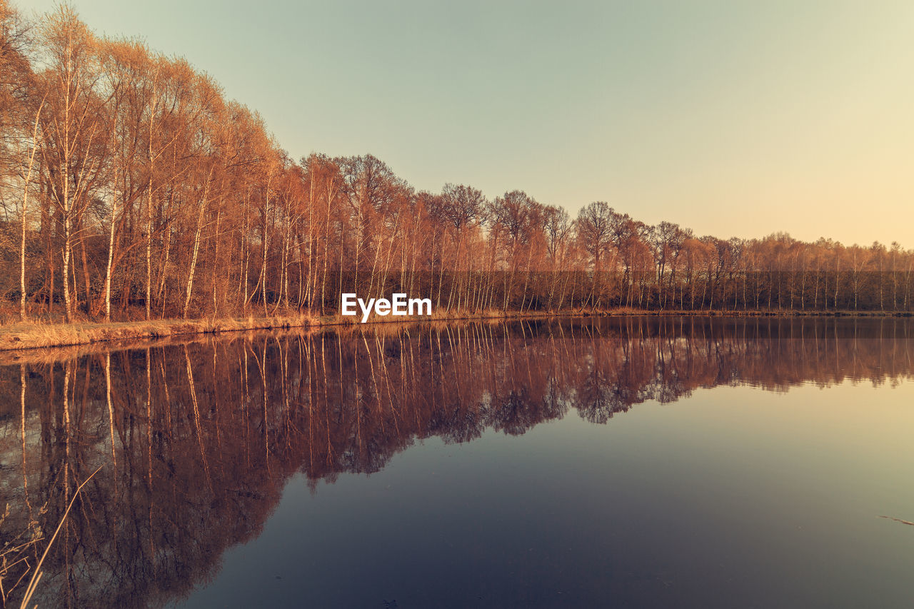 Reflection of trees in lake against sky in forest