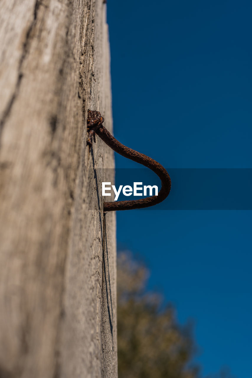 LOW ANGLE VIEW OF INSECT ON WOOD