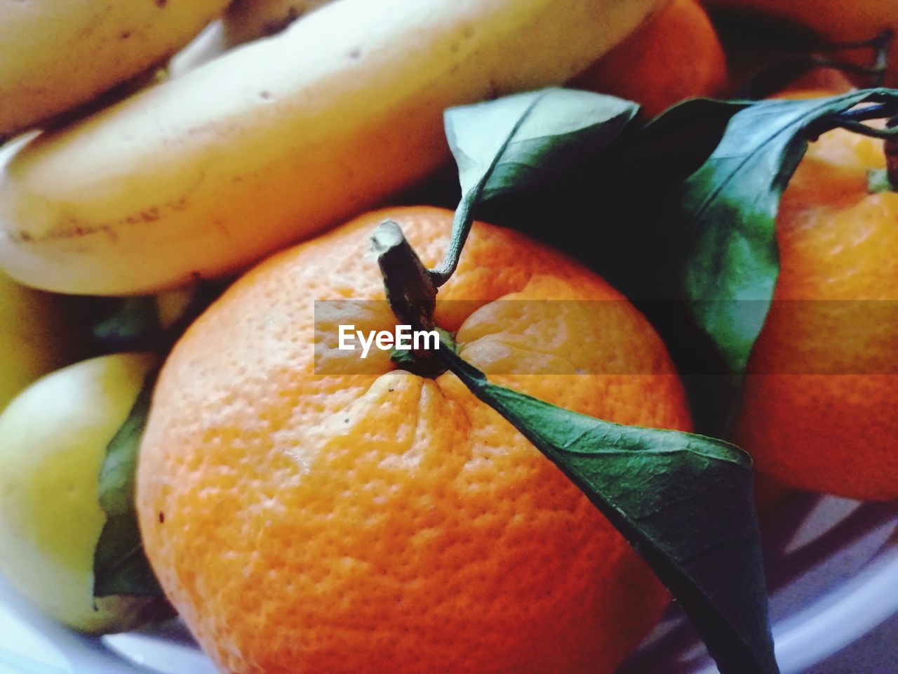 CLOSE-UP OF ORANGE SLICES