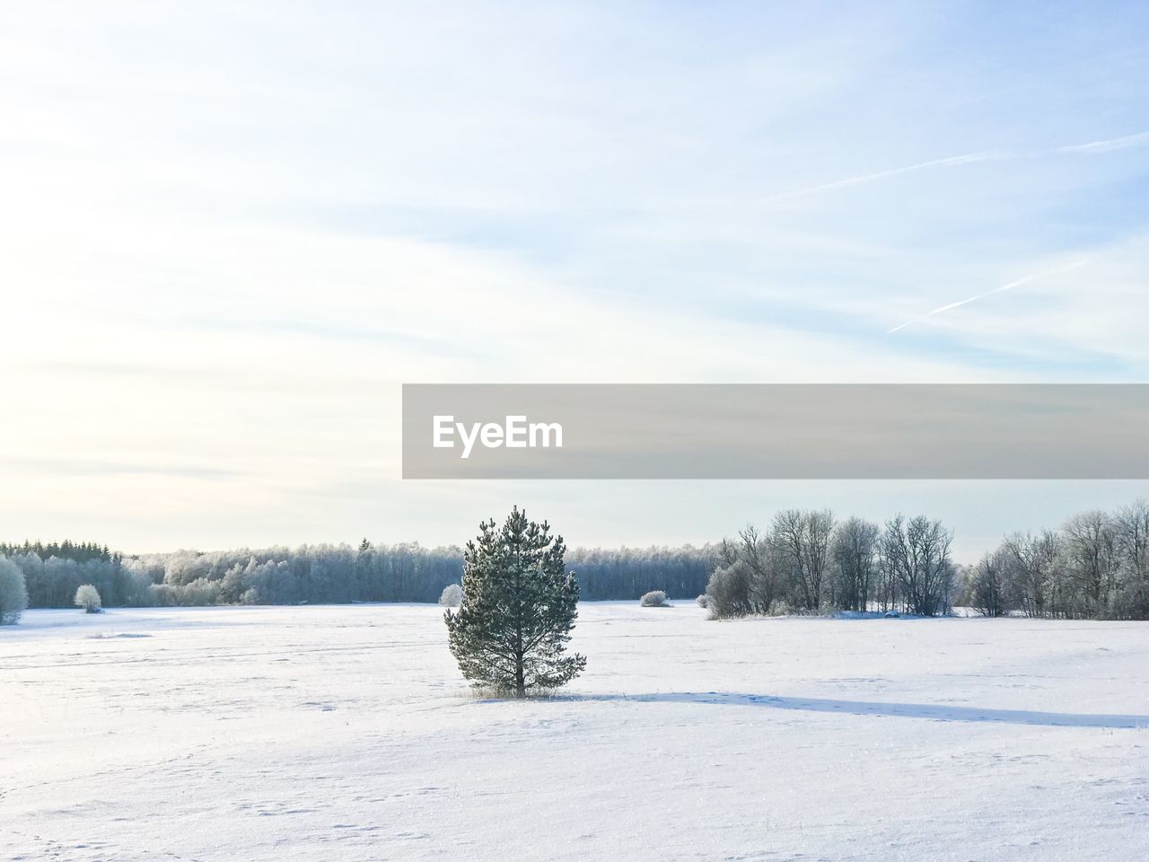 View of snow on field against sky during winter