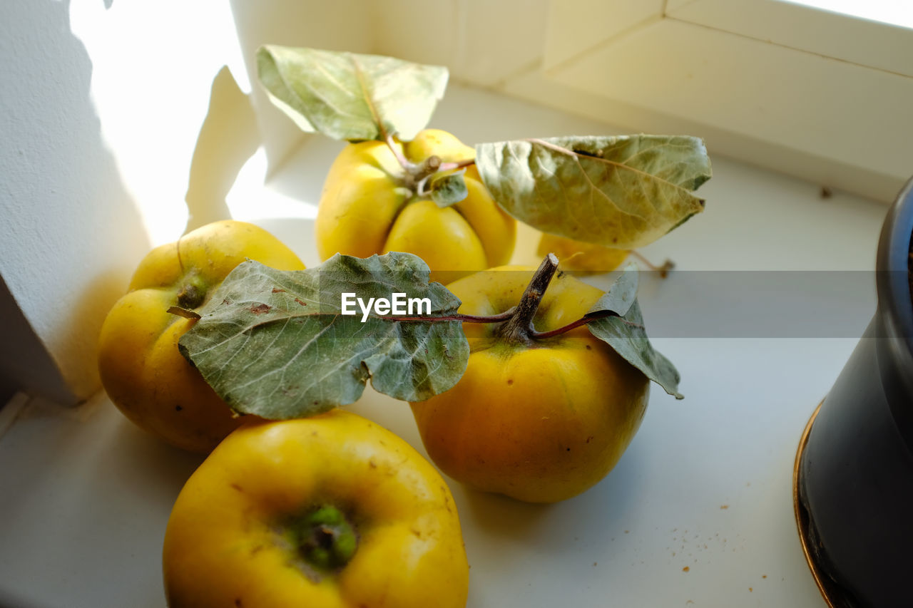 High angle view of fruits on table