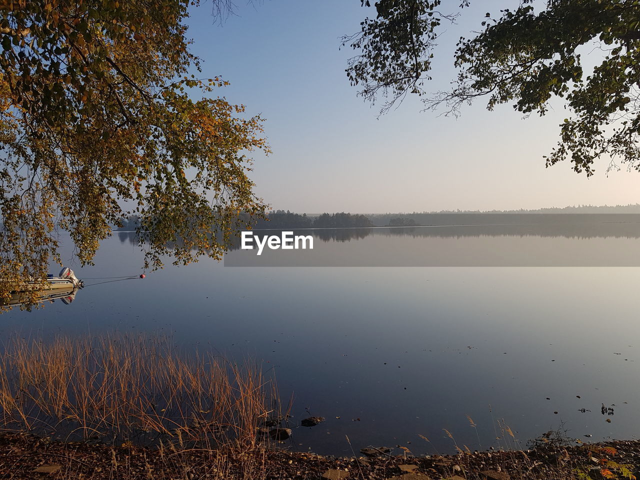 REFLECTION OF TREES ON LAKE AGAINST SKY