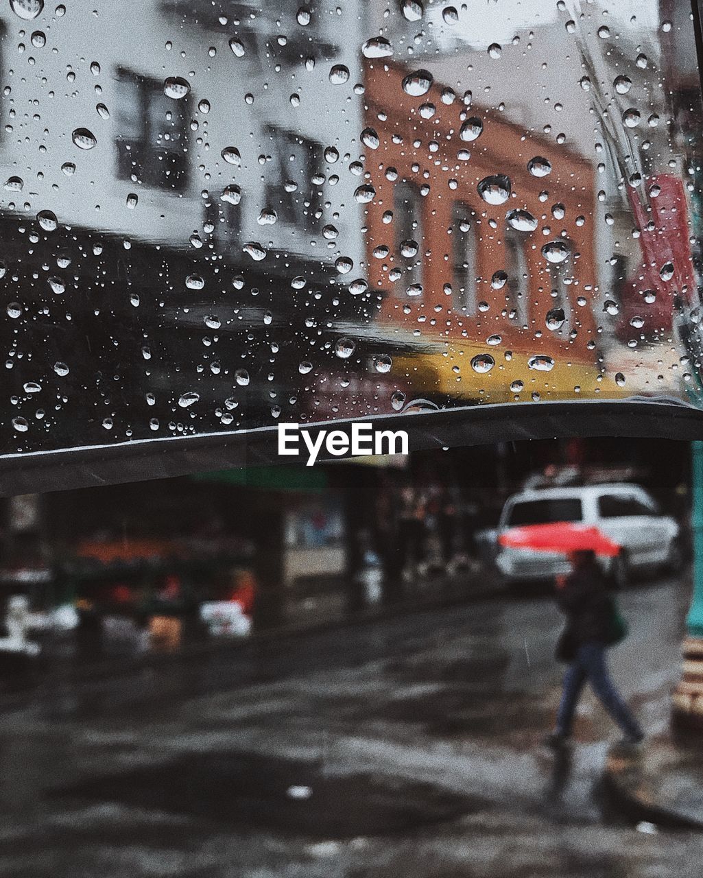 Close-up of wet transparent umbrella at street during rainy season