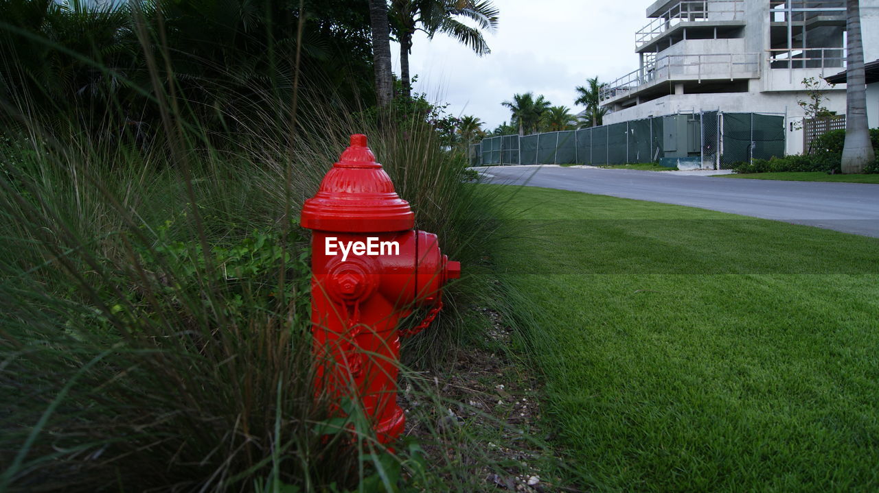 RED FIRE HYDRANT ON FIELD