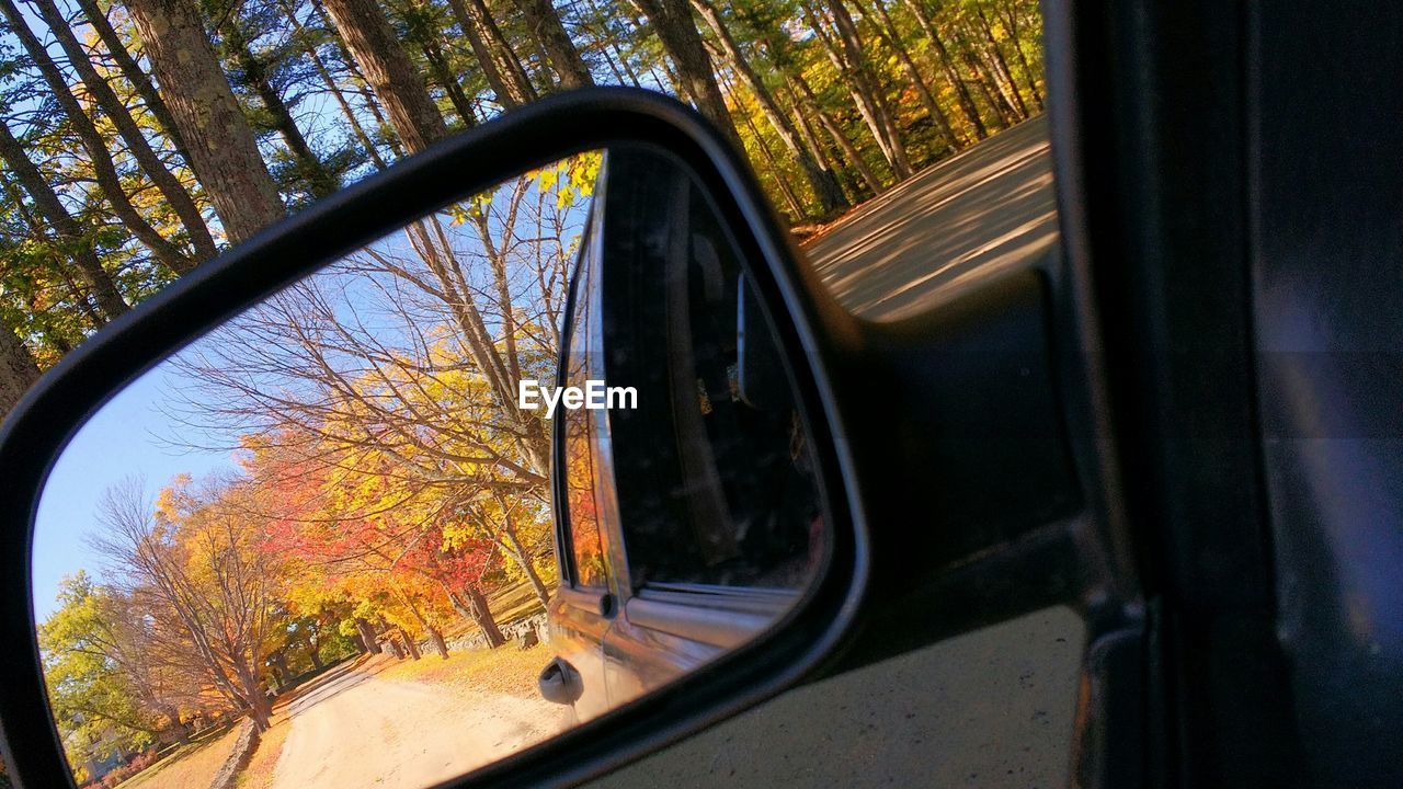 Close-up of autumn trees reflecting on car side-view mirror