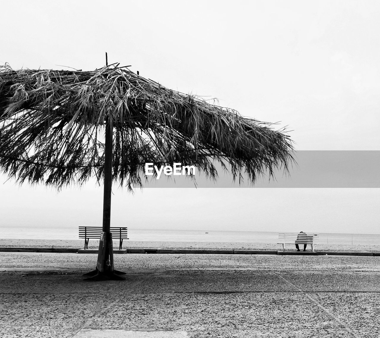 Palm trees on beach against clear sky