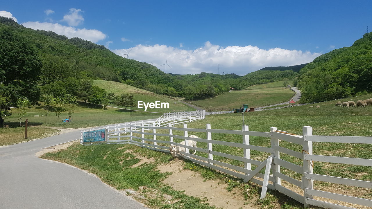 Scenic view of landscape against blue sky