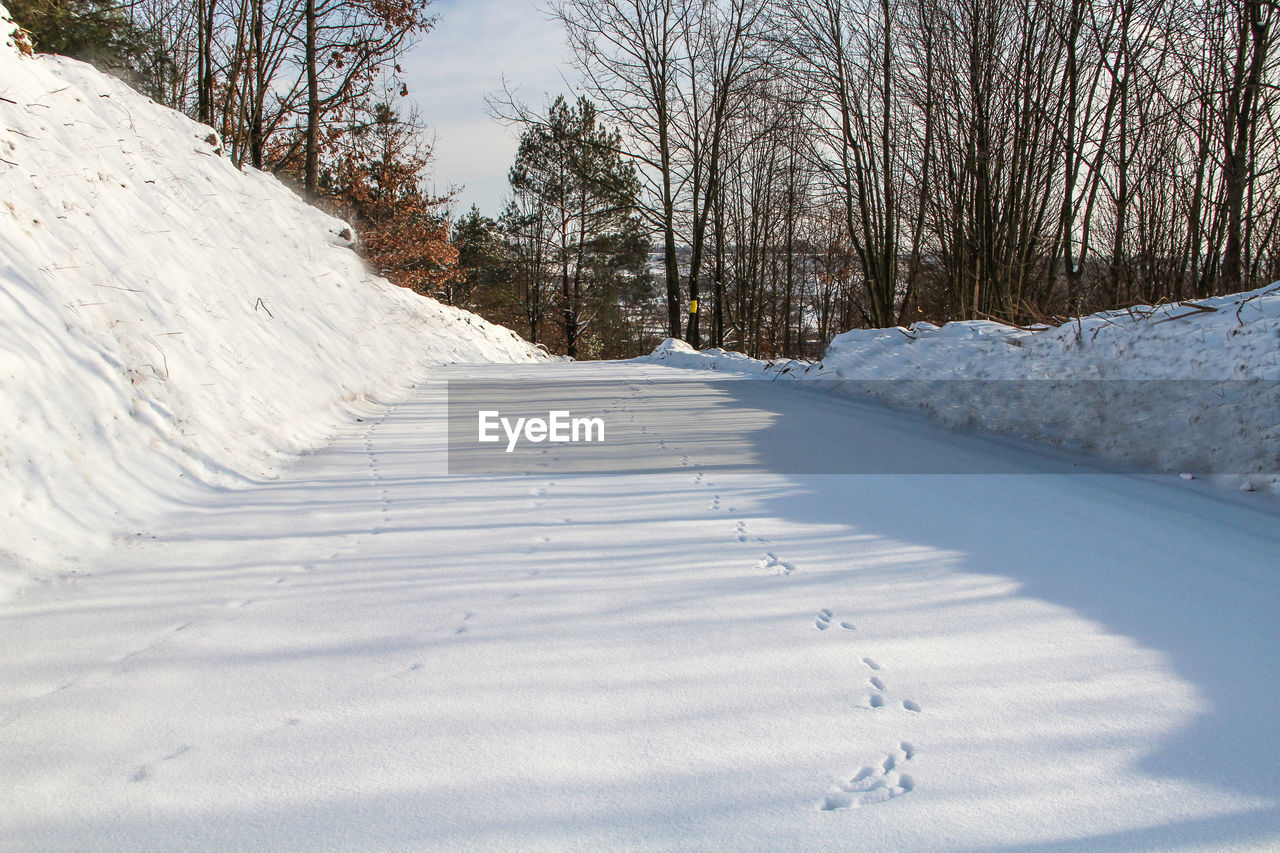 Close-up of snow covered landscape