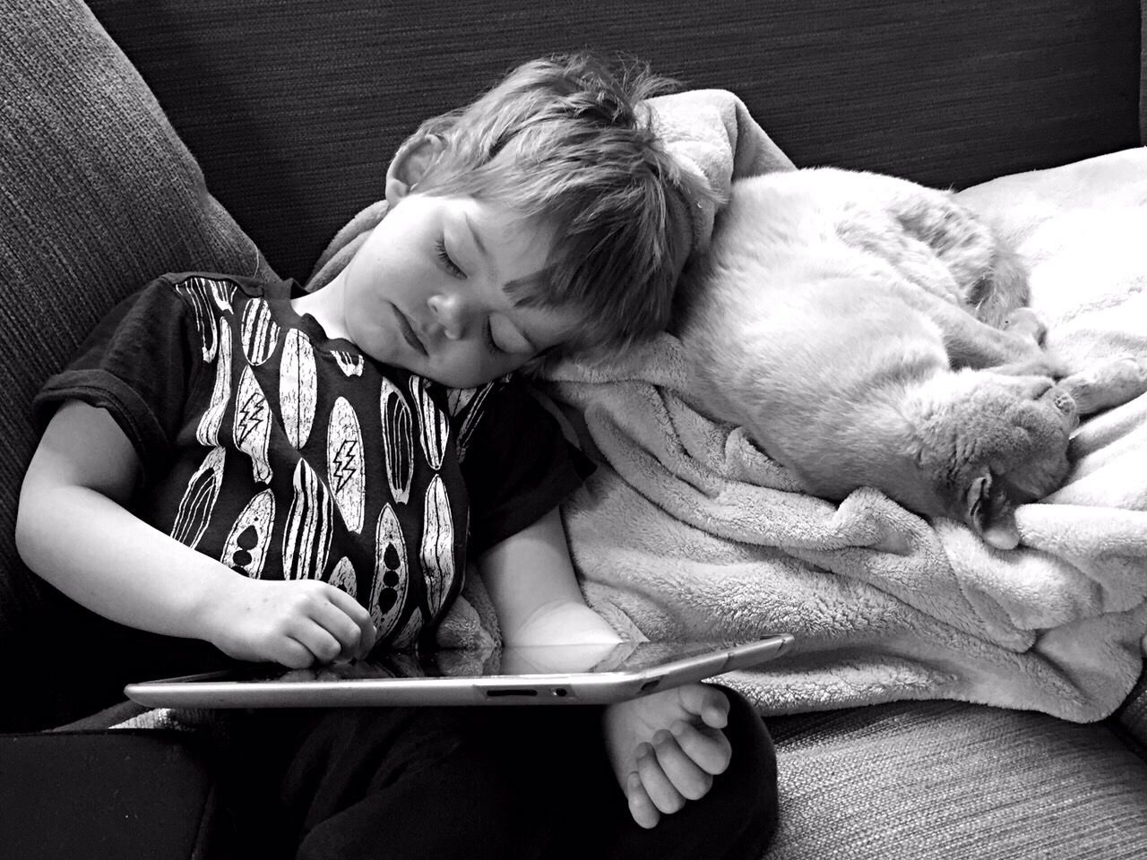 High angle view of cat and boy with digital tablet sleeping on sofa at home