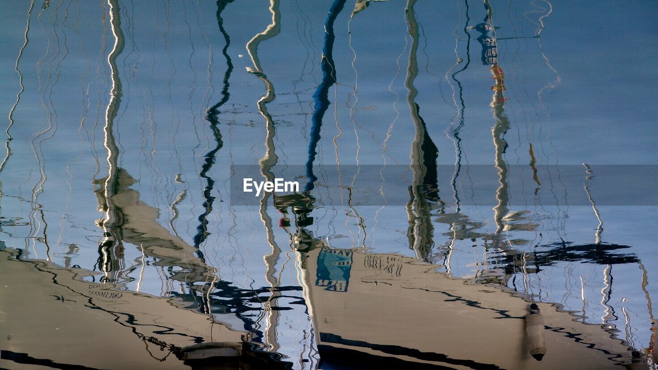 REFLECTION OF TREES IN WATER