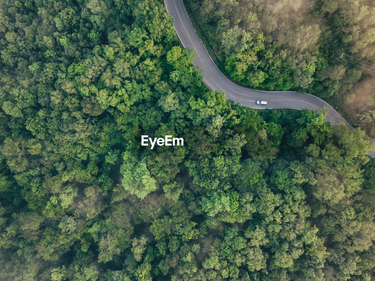 plant, green, aerial photography, tree, aerial view, high angle view, transportation, nature, no people, road, growth, beauty in nature, scenics - nature, forest, day, environment, land, tranquility, landscape, outdoors, mode of transportation, non-urban scene, foliage, lush foliage, tranquil scene, curve, travel, mountain