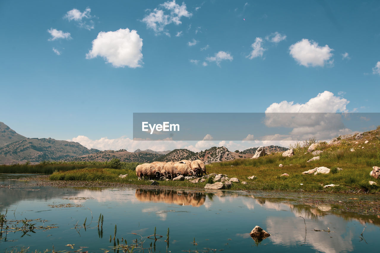 Scenic view of lake against sky