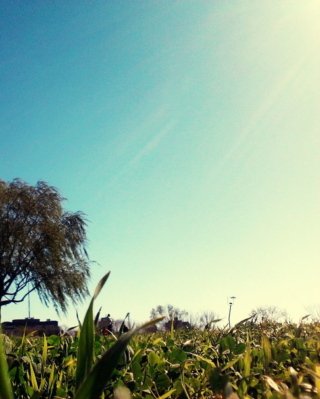 SCENIC VIEW OF LANDSCAPE AGAINST CLEAR BLUE SKY