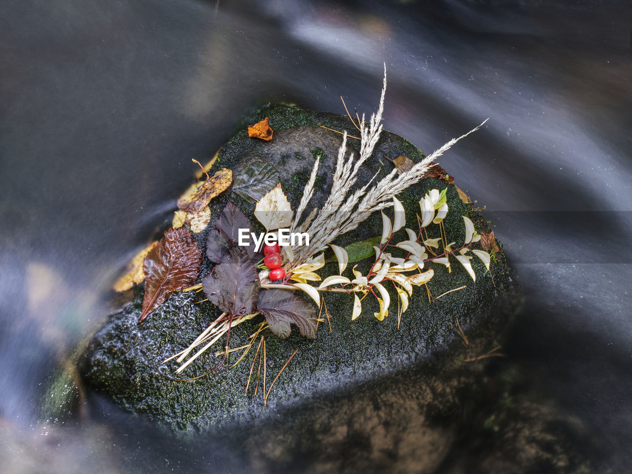 Bouquet of colorful flowers and autumnal leaves on boulder in spring. symbols of fall season.