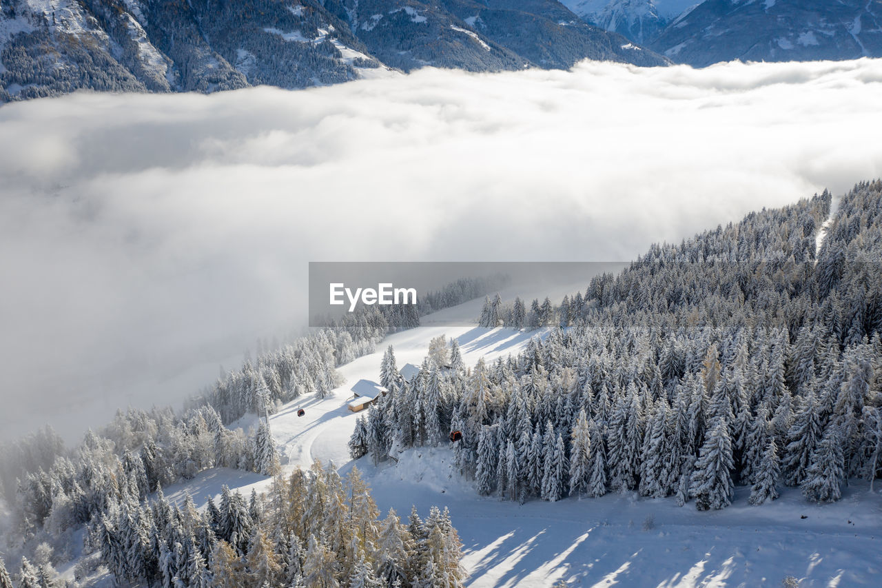 Scenic view of snow covered trees