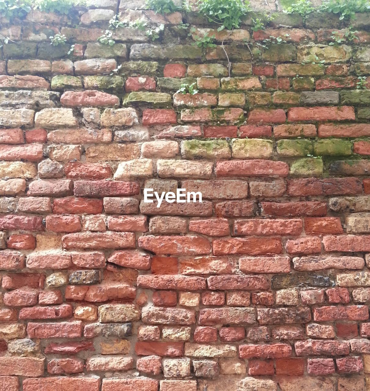 Close-up of brick wall