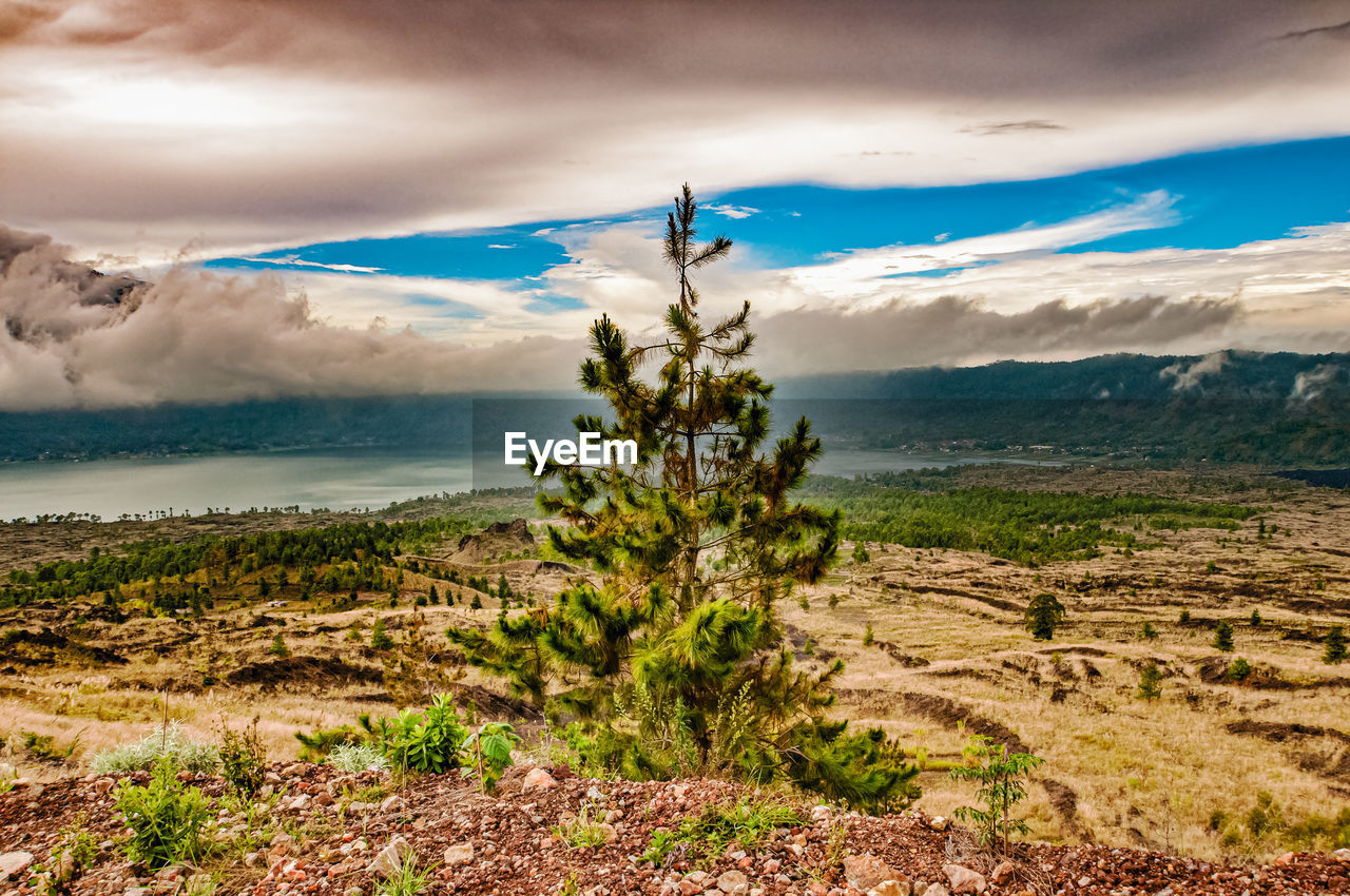 environment, landscape, nature, scenics - nature, sky, cloud, mountain, beauty in nature, land, wilderness, plant, travel destinations, water, travel, tranquility, mountain range, sea, tranquil scene, no people, non-urban scene, tree, dramatic sky, tourism, outdoors, snow, cold temperature, cloudscape, rural scene, winter, day, rock, holiday, vacation, grass, trip, remote, idyllic, adventure, extreme terrain, coniferous tree, coast, mountain peak, fog, environmental conservation, beach