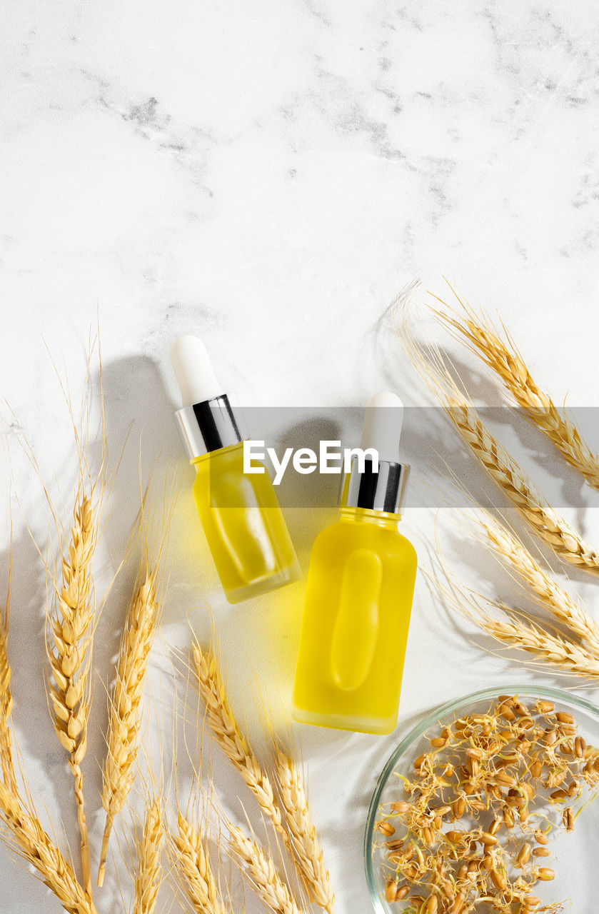 Oil with serum for skin and hair care.  wheat essential oils, germ. self-care and wellness. top view