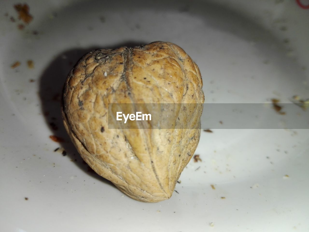 CLOSE-UP OF COOKIES IN CONTAINER