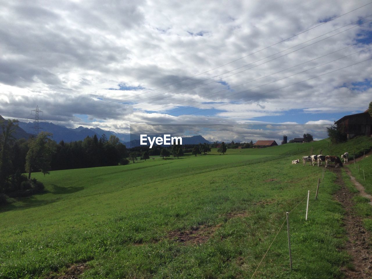 SCENIC VIEW OF GRASSY FIELD AGAINST SKY