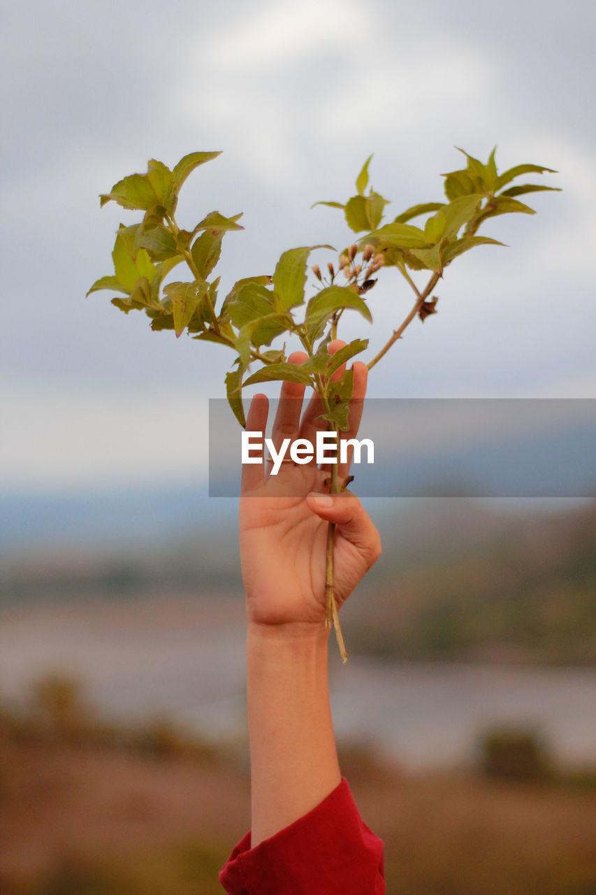 Midsection of person holding plant against sky