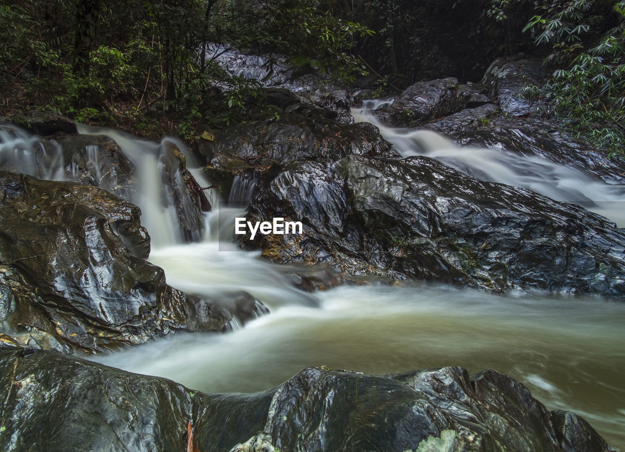 WATERFALL IN FOREST