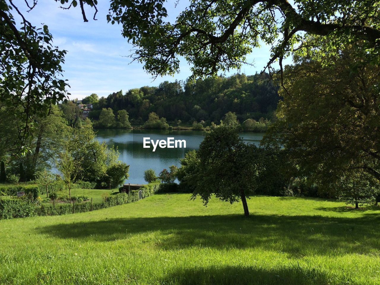 Lake behind green meadow