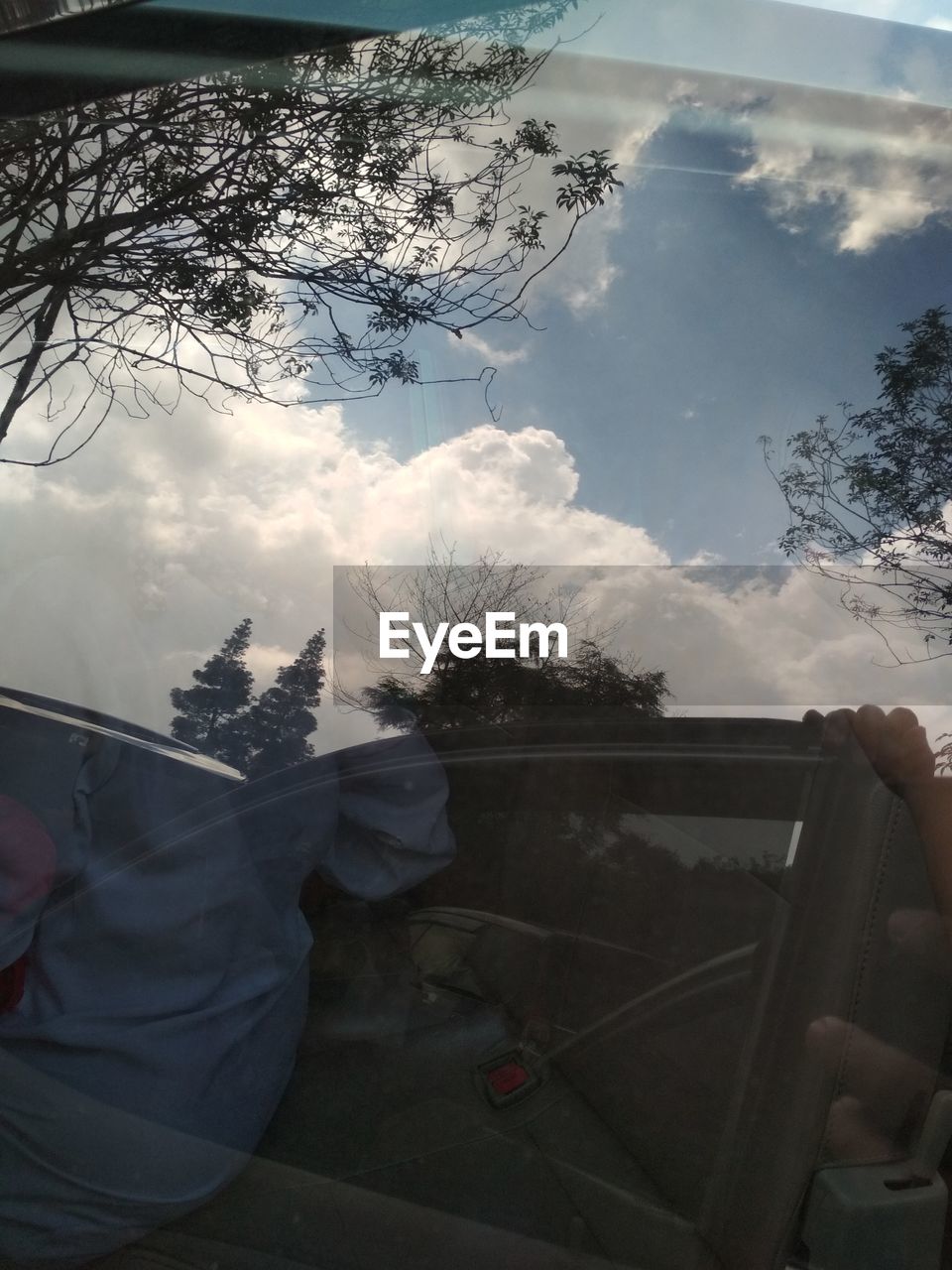 Reflection of cloudy sky and trees seen on car window