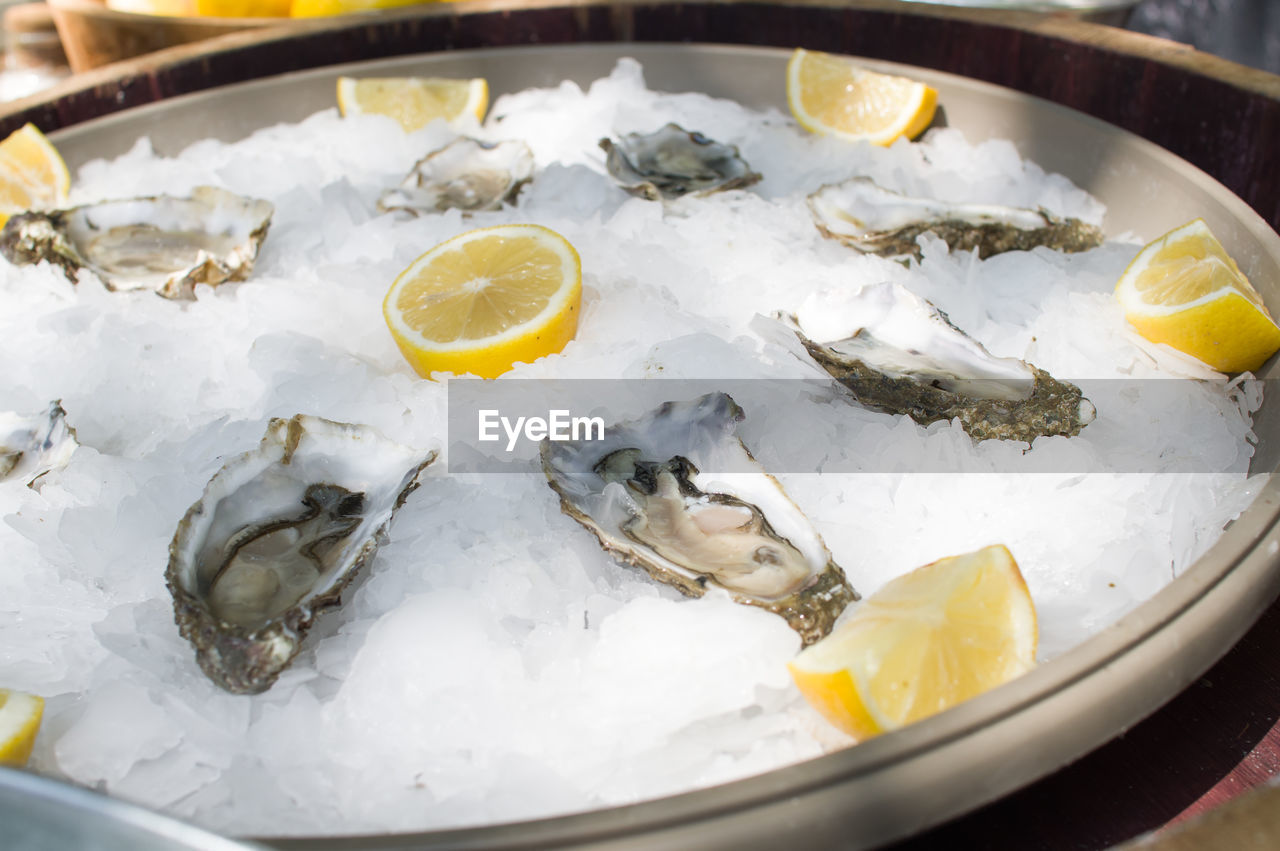 Close-up of fish served in plate