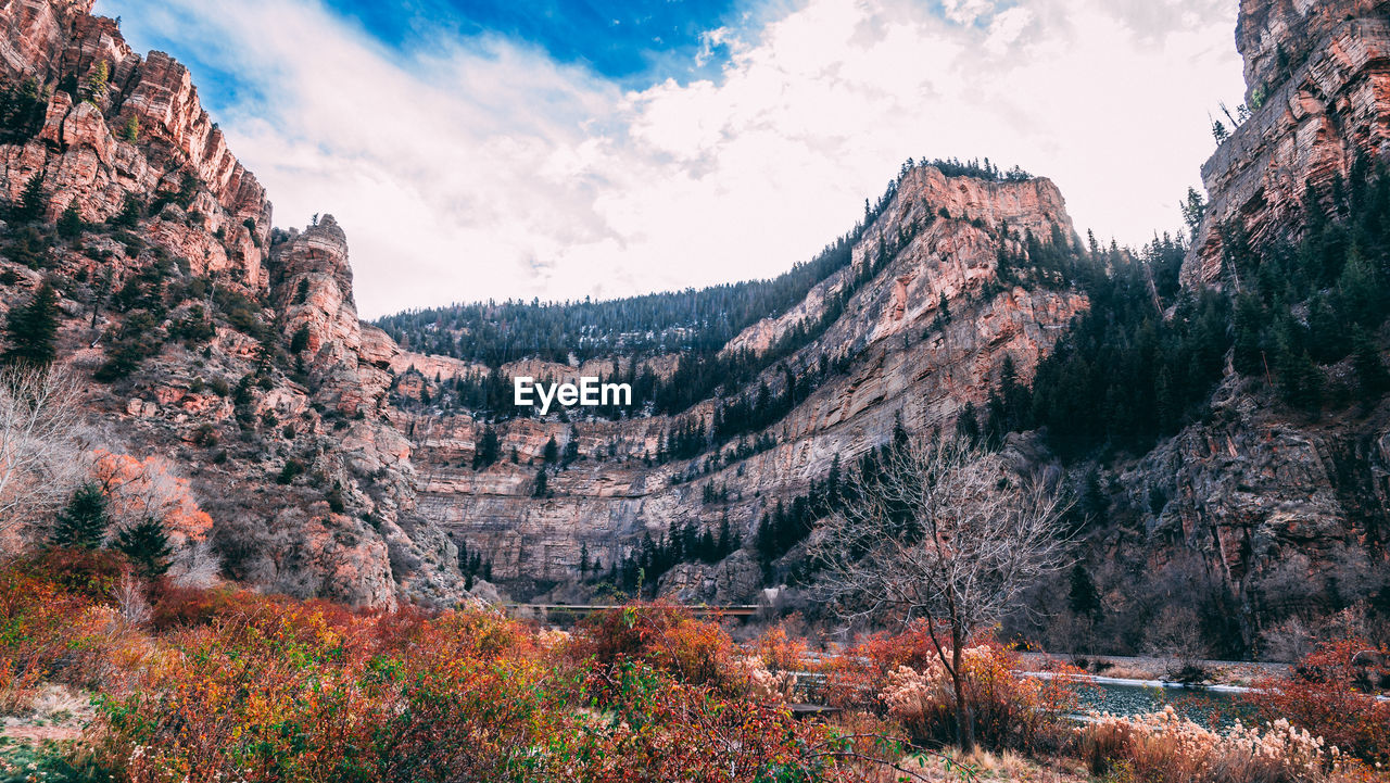 Panoramic shot of trees on mountain against sky