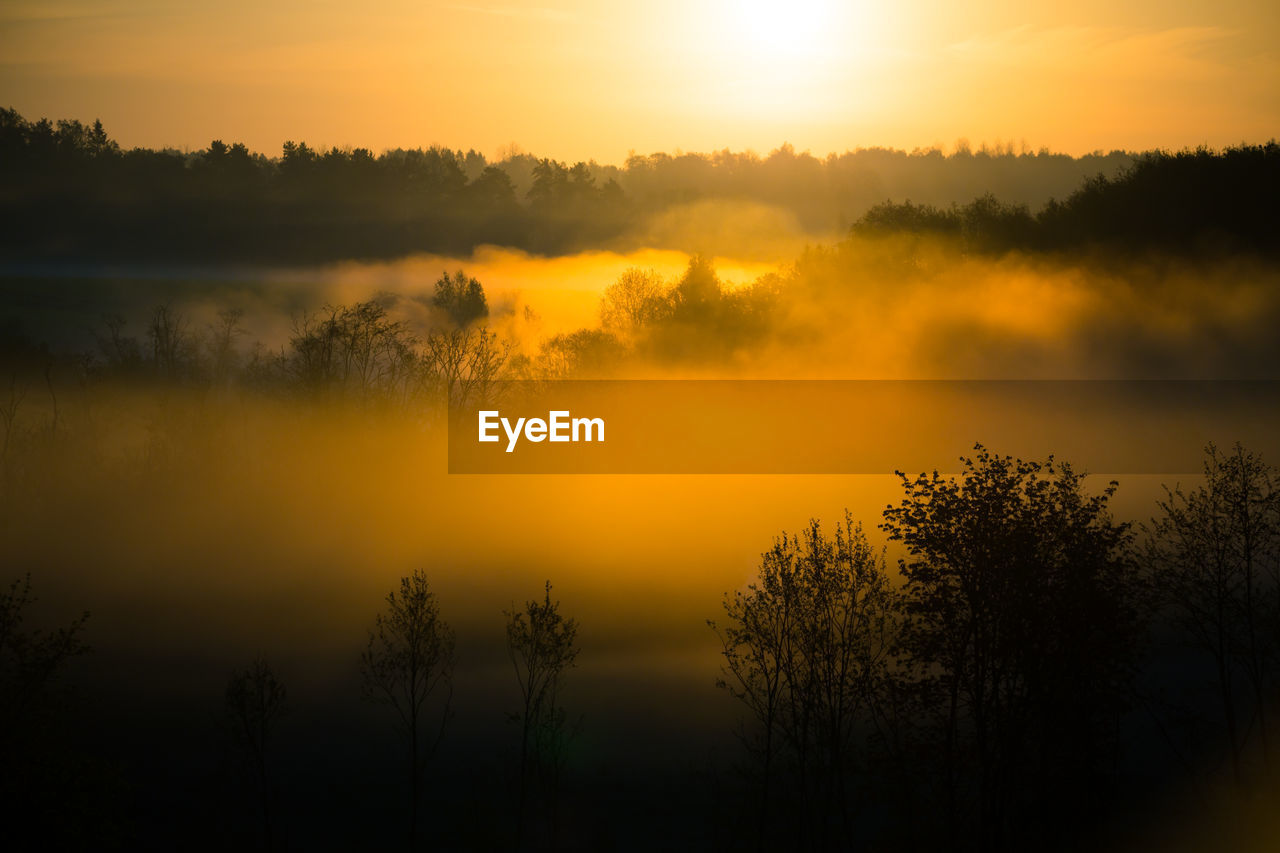 A misty sunrise landscape over the small river valley. summertime scenery of northern europe.