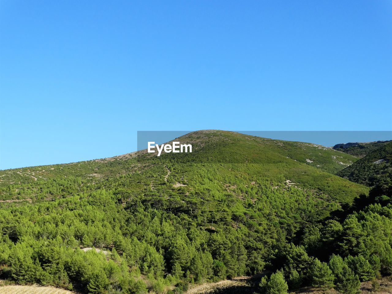 Scenic view of tree mountains against clear blue sky